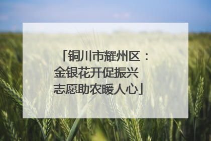 铜川市耀州区：金银花开促振兴 志愿助农暖人心